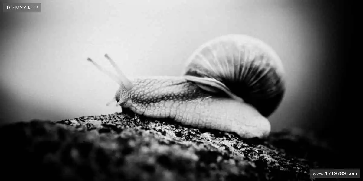 🔥热血赛事，巅峰对决！一键购票，见证冠军诞生🏆